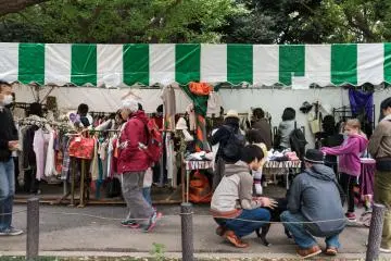 Dogs and cats were invited too
