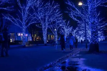 The 2 degree weather didn't stop the illumination