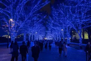 The view on the walk back to Shibuya