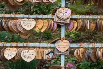 Heart-shaped Ema for shinto prayers.