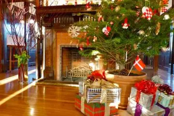 A lot of presents under the Christmas tree