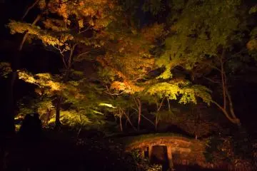 Even if some trees were past their autumn peak, the illuminations were still very beautiful
