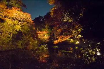The scenery is so great that you will be taking photos at every corner you turn!