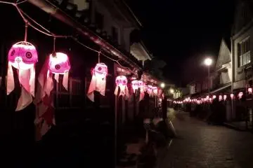 Be sure to stay until dark to see the lighting of the goldfish