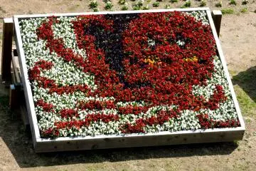 Karya seni lukisan gurita dari bunga