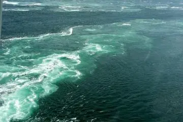 Line of disturbed water where two different currents meet