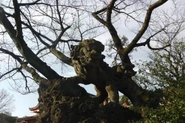 <p>รูปปั้นหินใกล้ ๆ ทางเข้า</p>