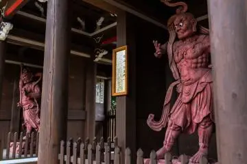 The Niomon Gate that guards the Daisho-in Temple. These Nio kings are said to keep evil out and preserve Buddhist practices 
