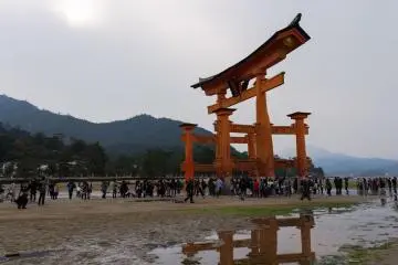 The Floating tori gates stand for a few hours on dry land when the tide is out