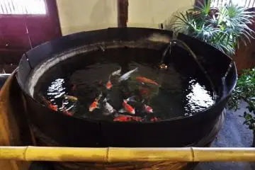 An unusual fish pond within the warehouse