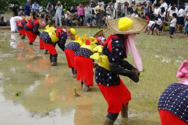 Arao Rice Planting Festival 2026