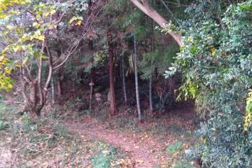 Old markers and stones in distance