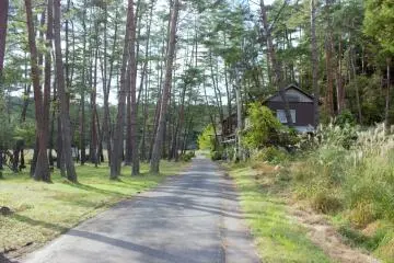 The road from the parking lot to the trailhead