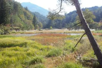 When one hears the word "marshlands", they probably don't imagine this kind of beauty 