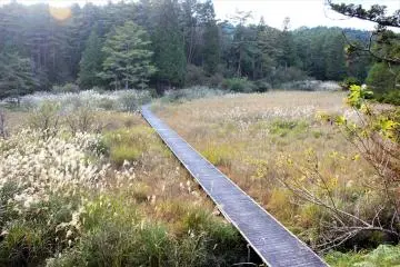 The boardwalks are wide, well maintained, and make navigating the park very easy
