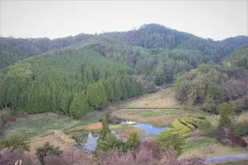 The middle of the marshlands