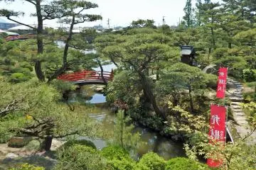 A view of the garden from above