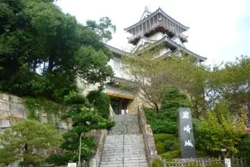 Iwasaki Castle. south face.