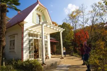 Gallery image