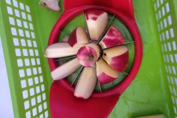 Apple-Picking at Miyata Apple Farm 