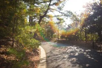 The cycling roads were wide and spacious