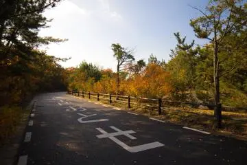 Beautiful weather made for a very enjoyable day of cycling