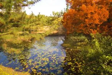 Picturesque scenery was everywhere
