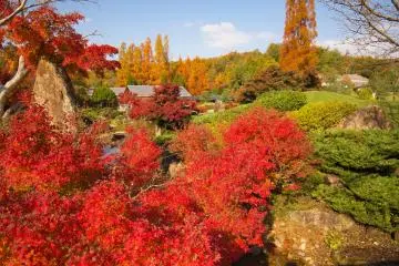 I spent a long time in this garden because it was just too beautiful no matter where you looked