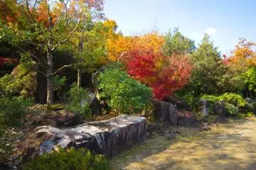 Great autumn colours