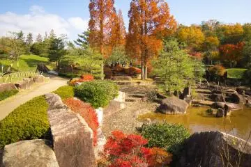 Beautiful landscaping
