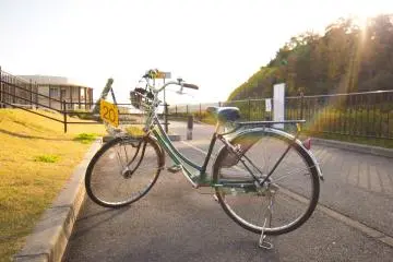 The rental bicycle