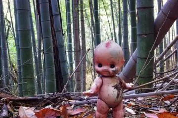 Just avoid the fate of Kewpie-chan—naked, lost and alone in the forest