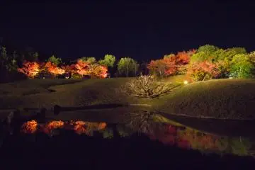 Breathtaking reflections all around