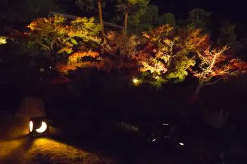 The timing was just right with the peak of autumn