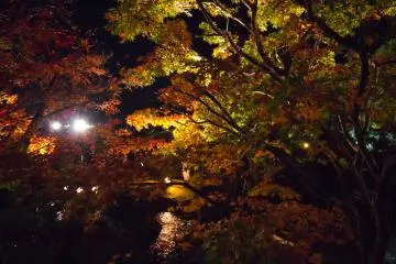 Crossing the mini river at night was lots of fun too