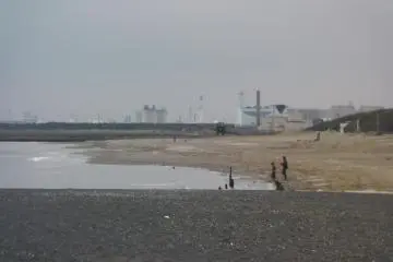 A busy December day at the beach
