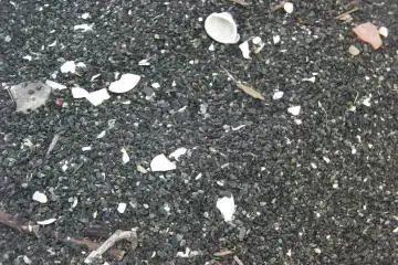 Underfoot