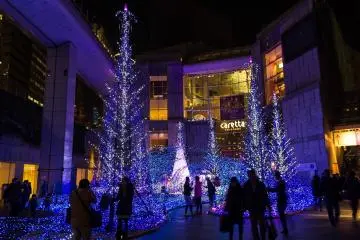 Caretta Illumination 2019