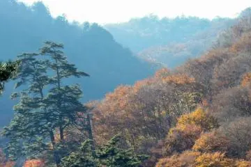 Layered hills 