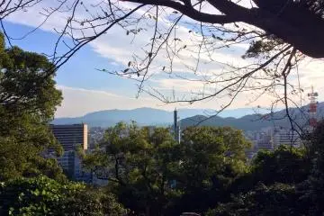 Tokushima University Area