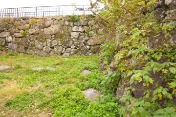 It was very interesting to see the castle walls being taken over by nature