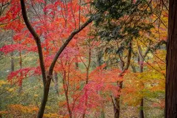  Bright sights in all directions