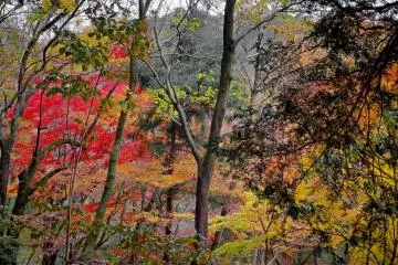 In the distance lies Mount Ohira-yama