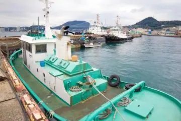 Have a look at the different ships anchored in the harbor