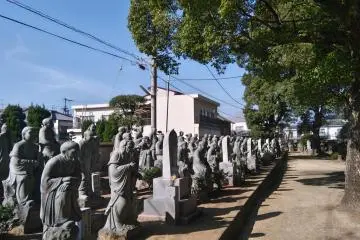 Zentsu-ji Temple 75 