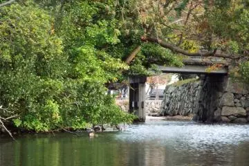 View from Horikawa Boat
