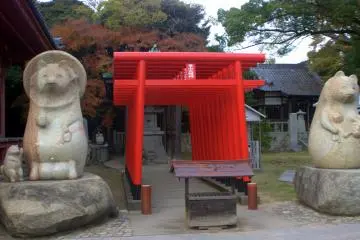 This is a small shrine for tanuki, the Japanese raccoon-dog that is often featured in folklore. Many people feed Tanuki around Yashima Plateau and so they can be quite friendly.