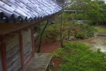 A small garden that can be viewed from the museum