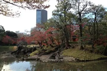 Buildings in the distance remind everybody that the garden is still in the city center