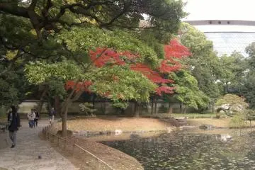 Tokyo Dome peeking from the garden’s backside